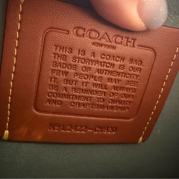 Coach Sage Green Tabby 30 Crossbody Bag with Gold Chain - Picture 5 of 14